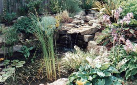 Hard Landscaping - Water Features & Planting