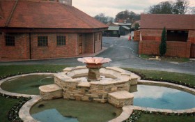 Hard Landscaping - Water Features & Planting
